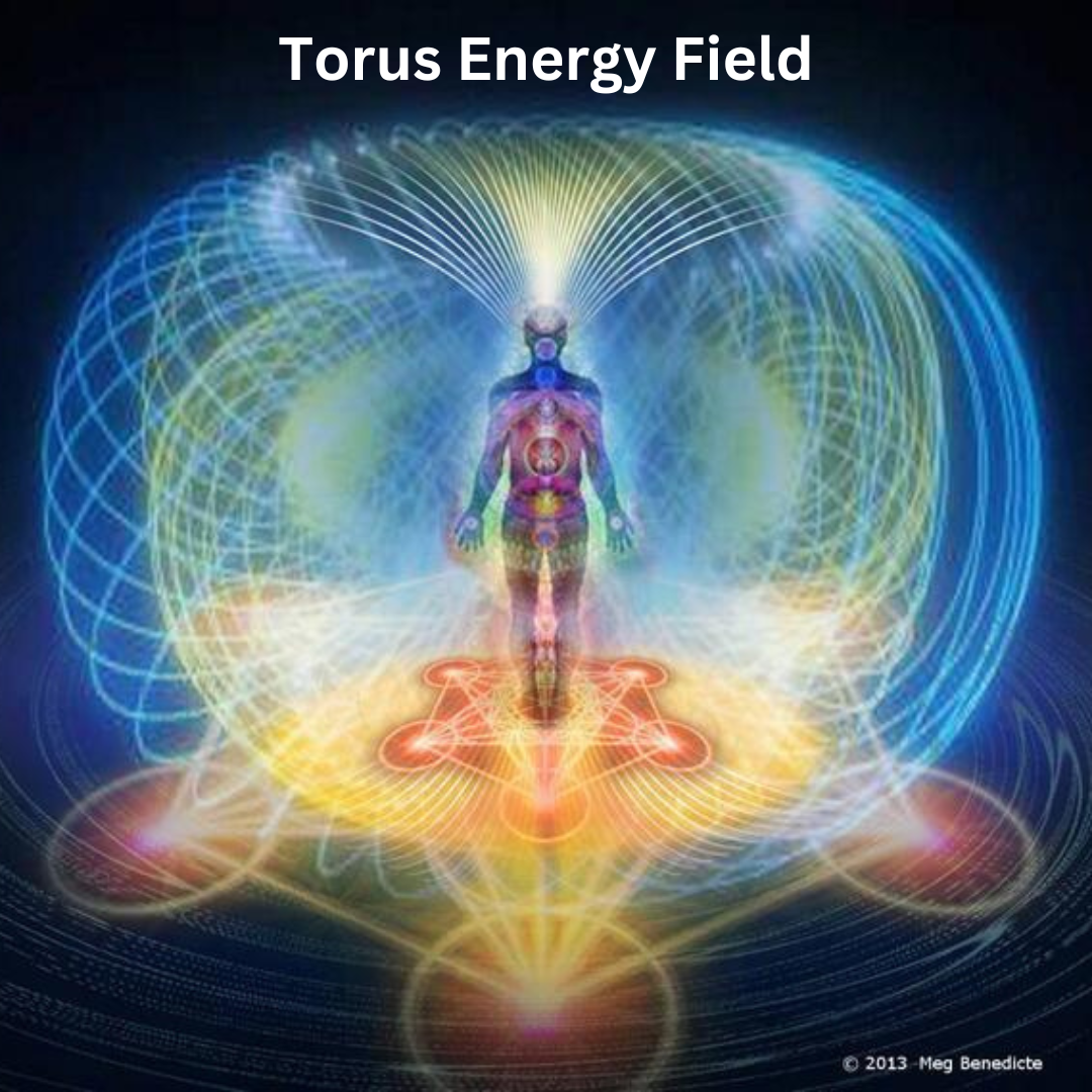 Powerful Healing Terahertz Torus Shaped Pendant.